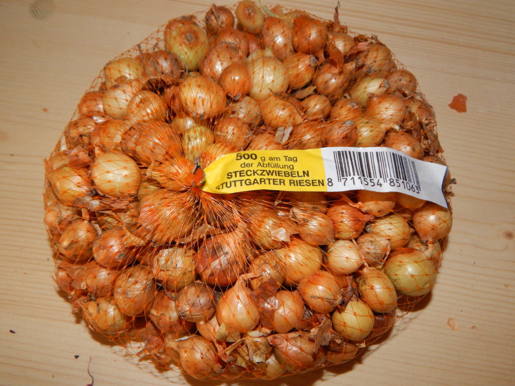 Steckzwiebeln Stuttgarten Riesen 500 g geogarten